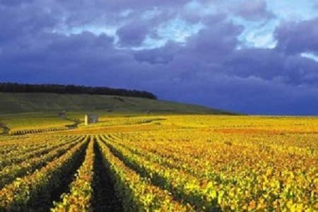 Le Louis Pasteur 4 Premium Lägenhet Épernay Exteriör bild